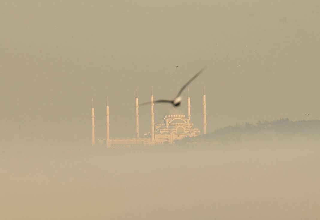 İstanbullular bu uyarıya kulak verin: Son derece riskli! Her yıl 44 bin kişi bu nedenle hayatını kaybediyor 14